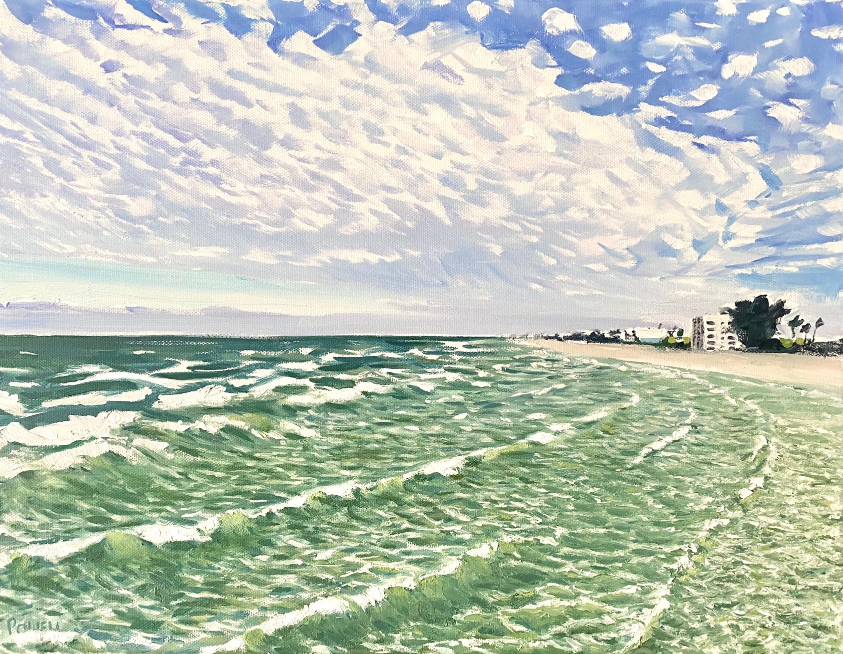 Wind and Waves (St Pete Beach, Florida)